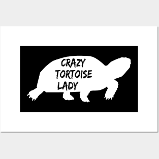 Crazy Tortoise Lady Funny Posters and Art